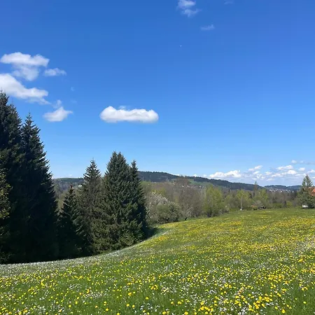Kuh'les Hideaway Steibis 3-zimmer 55 M² Appartement Oberstaufen